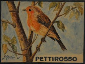 Pettirosso