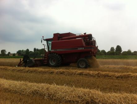 Mietitrebbia Case IH 2166 axial flow trebbiatura frumento