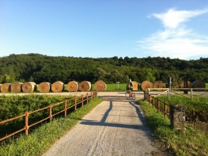 I percorsi ciclabili - Collio